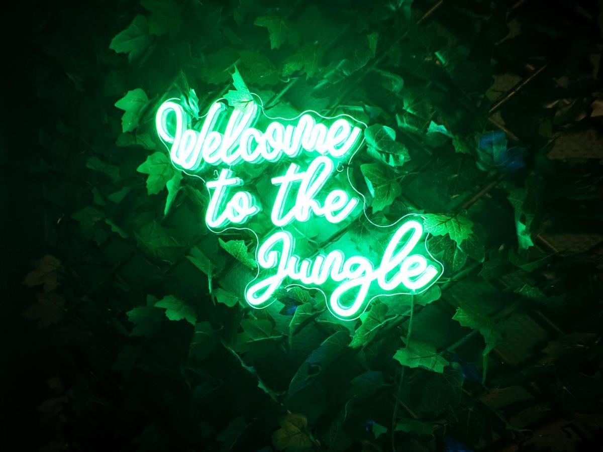 Jungle Urbain- Sauna - Cine - Hamac - Hyper Centre Amiens Dış mekan fotoğraf